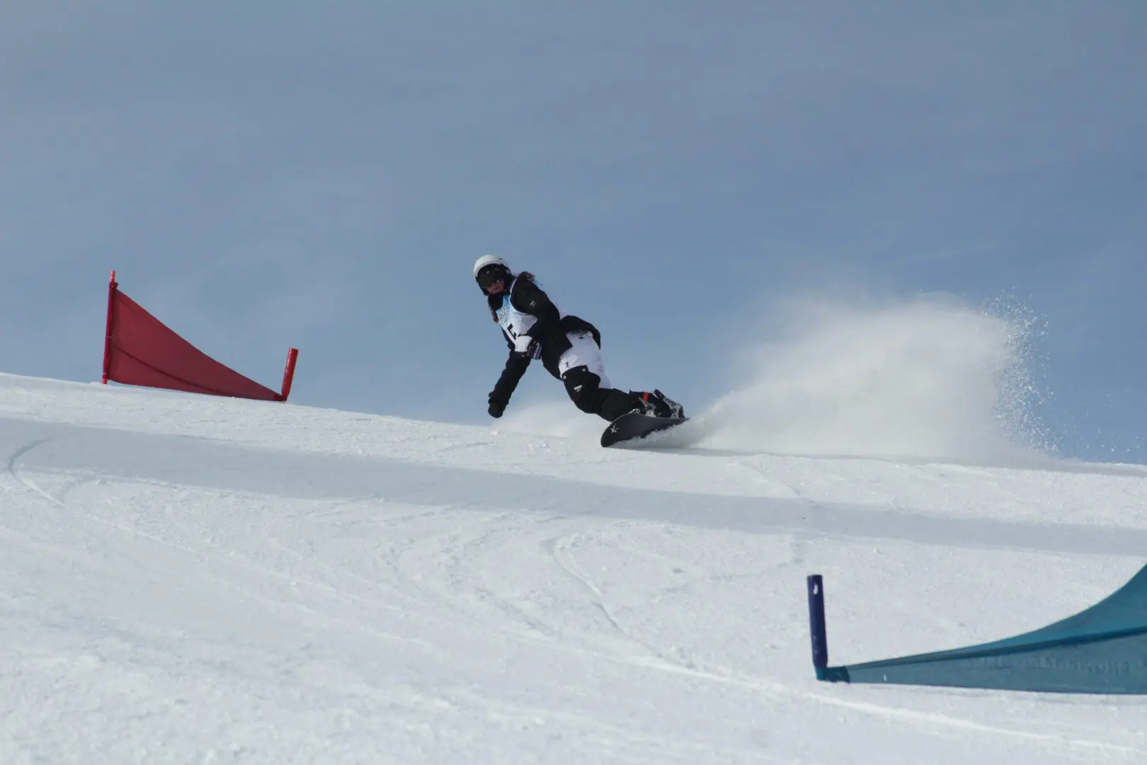 SKI14121