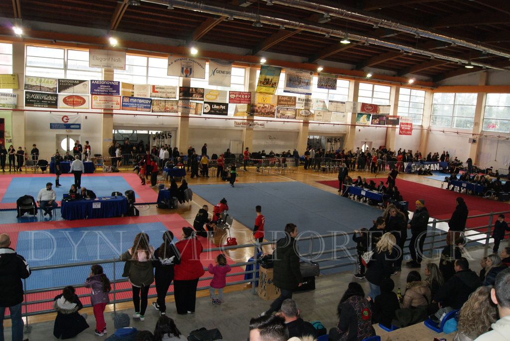 THE ART OF WUSHU VIII