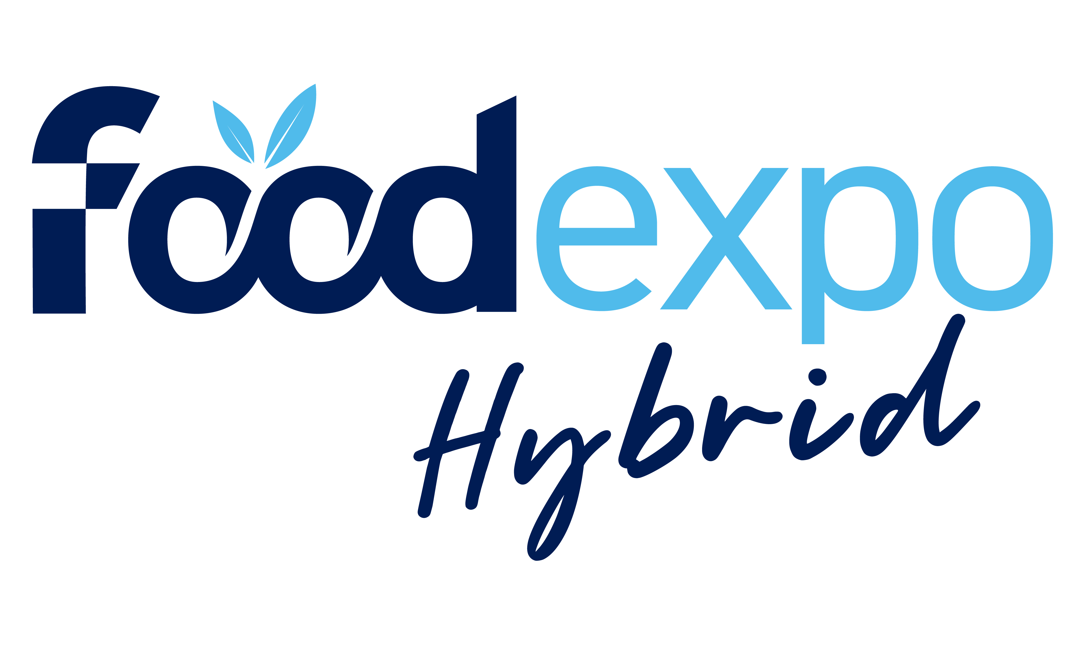 HYBRID LOGO